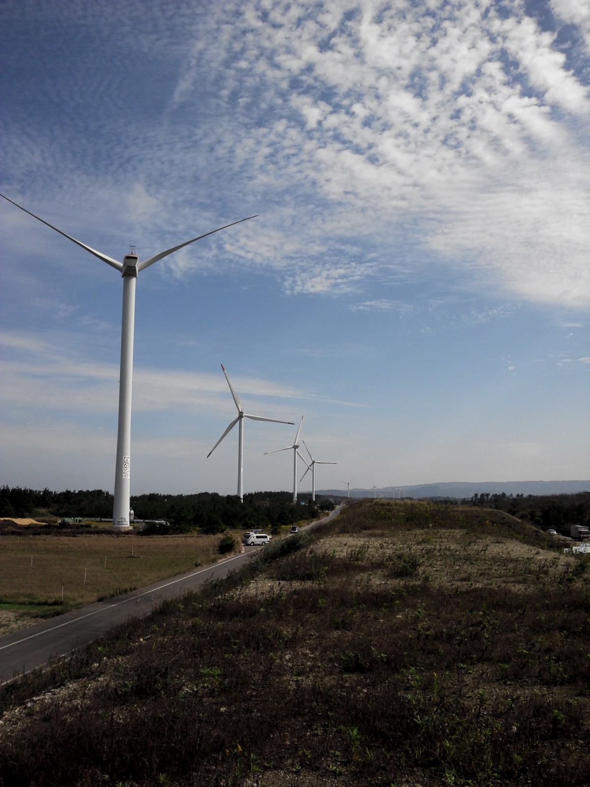 1101写真５