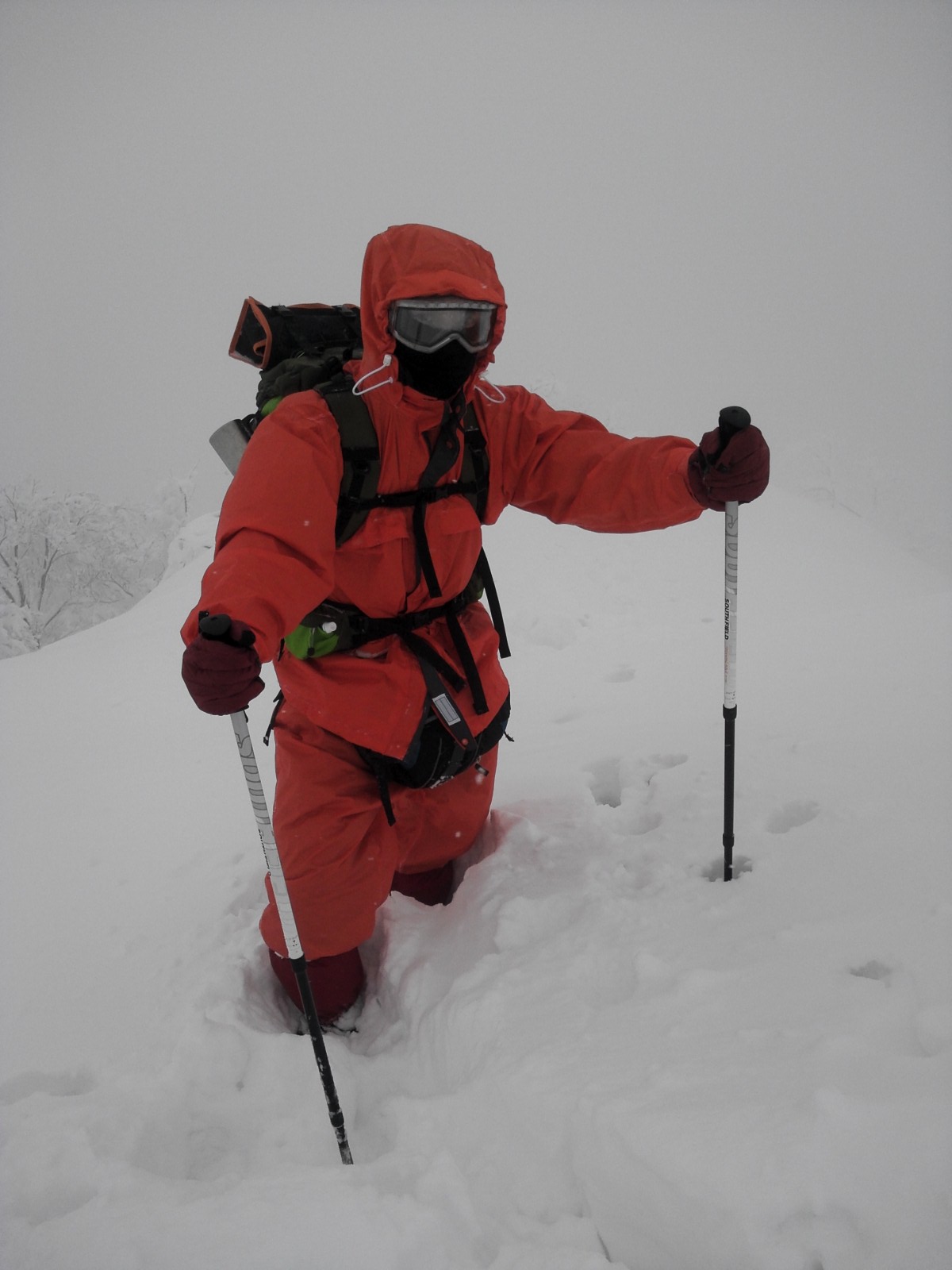 20120131大山登山4