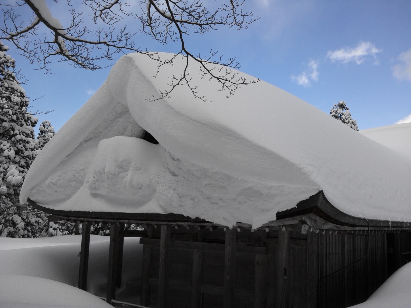 20120131大山登山5