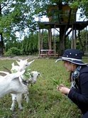 酒田大山１