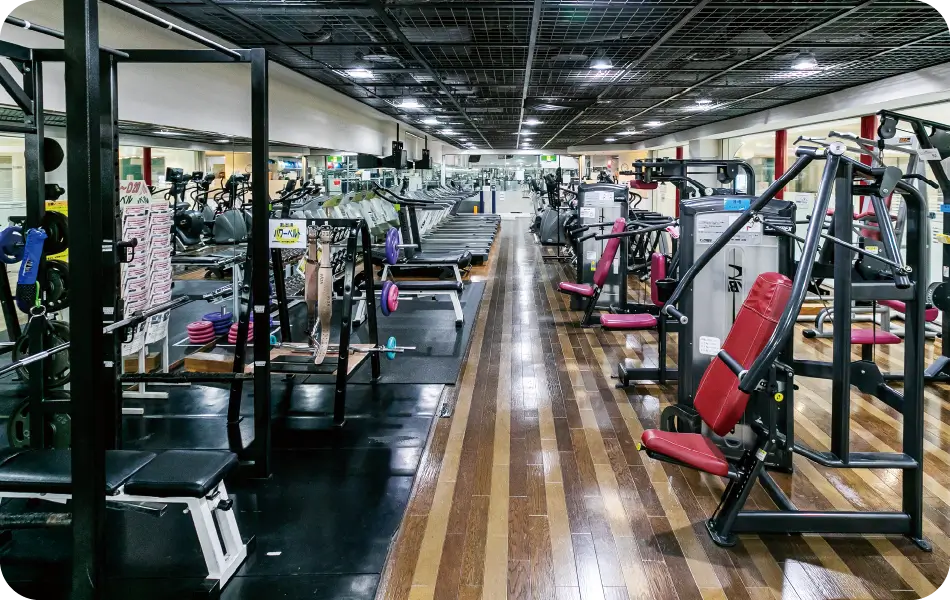 フィットネスマシン